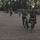 Combat Logistics Regiment 27 takes to the streets Combat Logistics Regiment 27 takes to the streets
