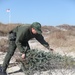 Recycled Christmas trees help reinforce dunes at Fort Macon