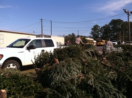 Corps collects used Christmas trees at Thurmond Lake