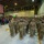 117th CSSB returns home
