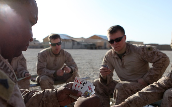 CLR-2 and CLB-2 conduct Combat Logistics Patrol