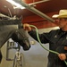 Old Guard Caisson platoon horses earn retirement