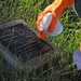 A person wearing orange rubber gloves is cleaning a vandalized commemorative plaque using a spray bottle and cloth. The dark stone plaque, embedded in a grassy area, bears the name 'Ned Kahn' and references 'Wave Oculus, 2005' but is covered in graffiti. The cleaning activity appears to be graffiti removal from a public art installation marker.