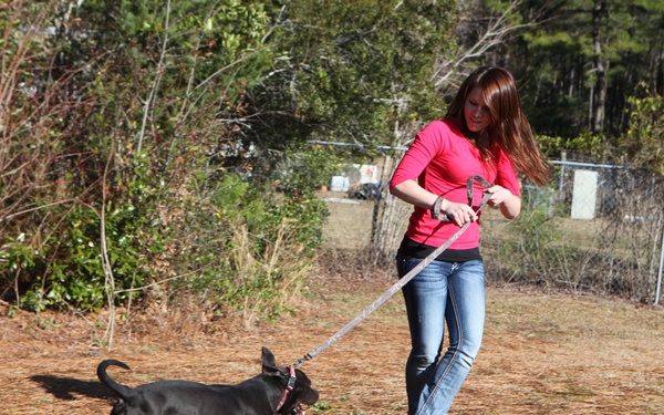 Marines help care for homeless animals