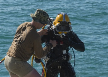 Underwater Construction Team 1