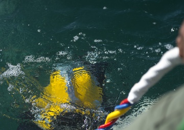 Underwater Construction Team 1