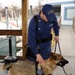 Coast Guard K-9 unit conducts security sweep for inauguration.