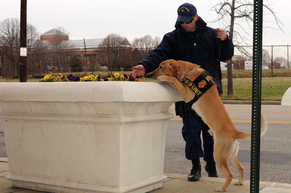 Coast Guard K-9 unit conducts security sweep for inauguration