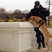 Coast Guard K-9 unit conducts security sweep for inauguration