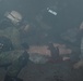 Multinational combat medical training