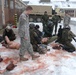 Multinational combat medical training