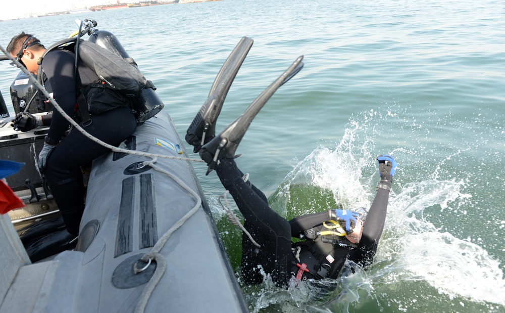 Anti-Terrorism Force Protection inspection dive