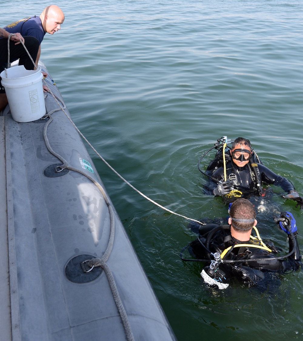 Anti-Terrorism Force Protection inspection dive