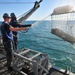 Mine countermeasure training operations