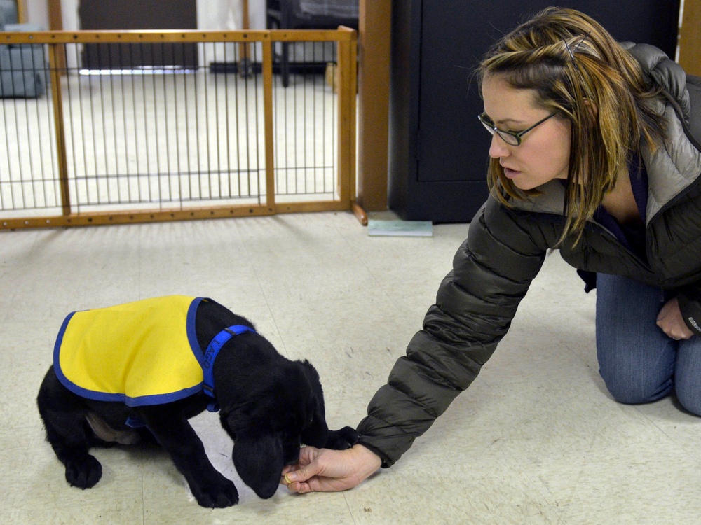 Inmates, 'paws' for a cause