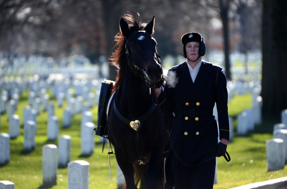 3d US Infantry Regiment (The Old Guard) caparisoned horse walker