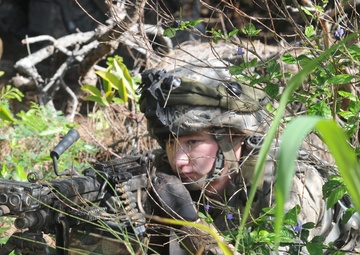 Watching in the weeds