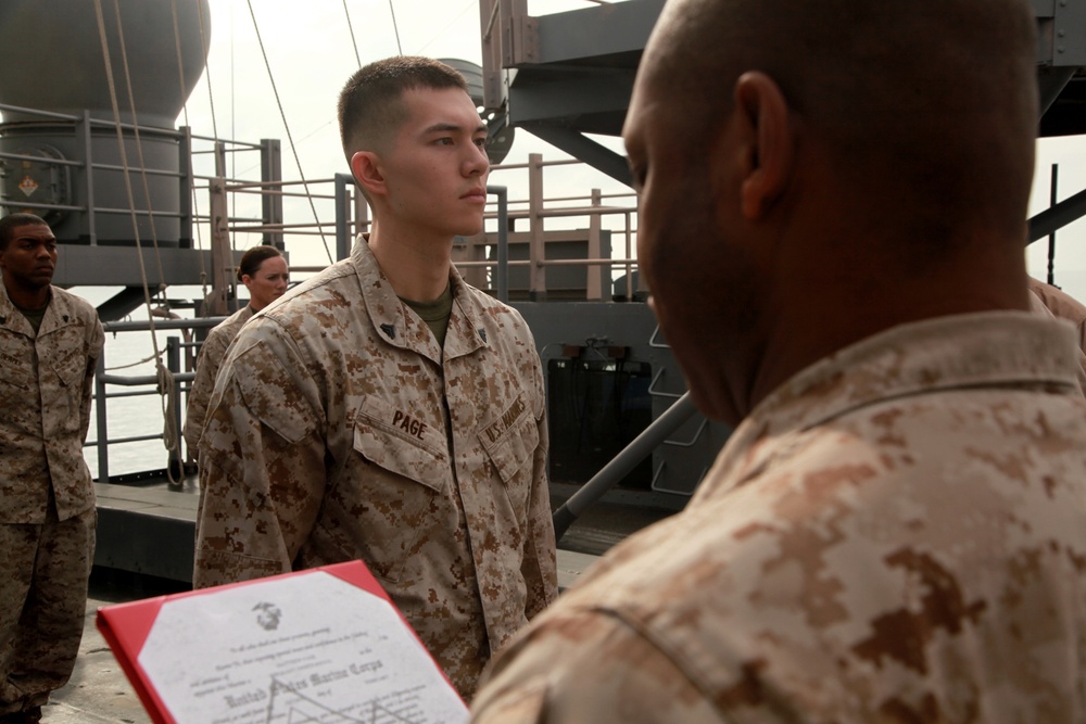 Peleliu February Promotions Peleliu February Promotions