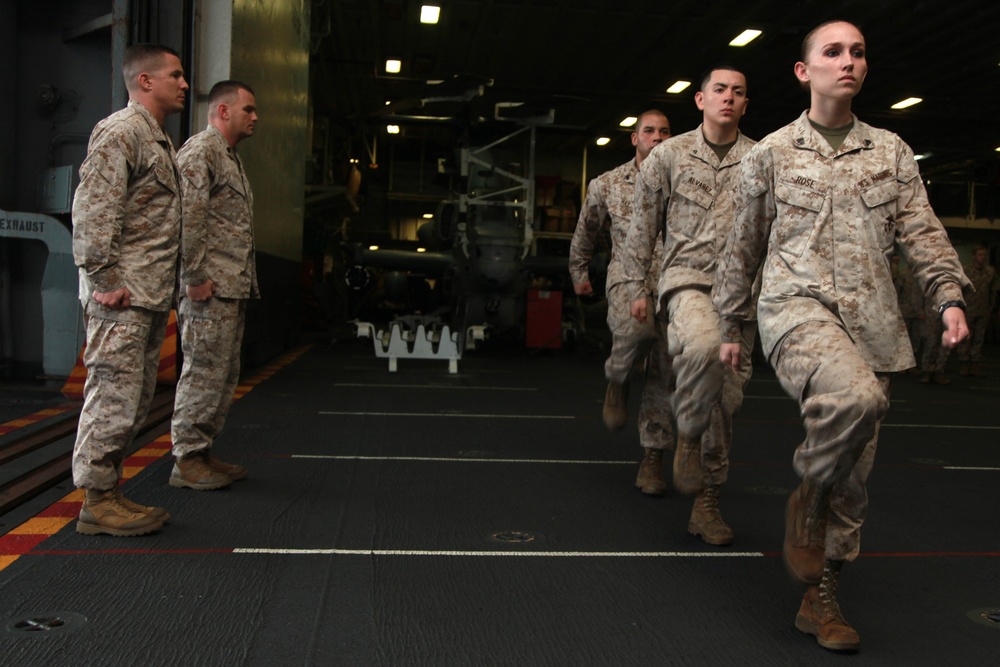 Peleliu February Promotions Peleliu February Promotions