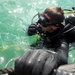 Anti-terrorism force protection dive