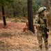 Georgian Regimental Combat Team mission rehearsal exercise