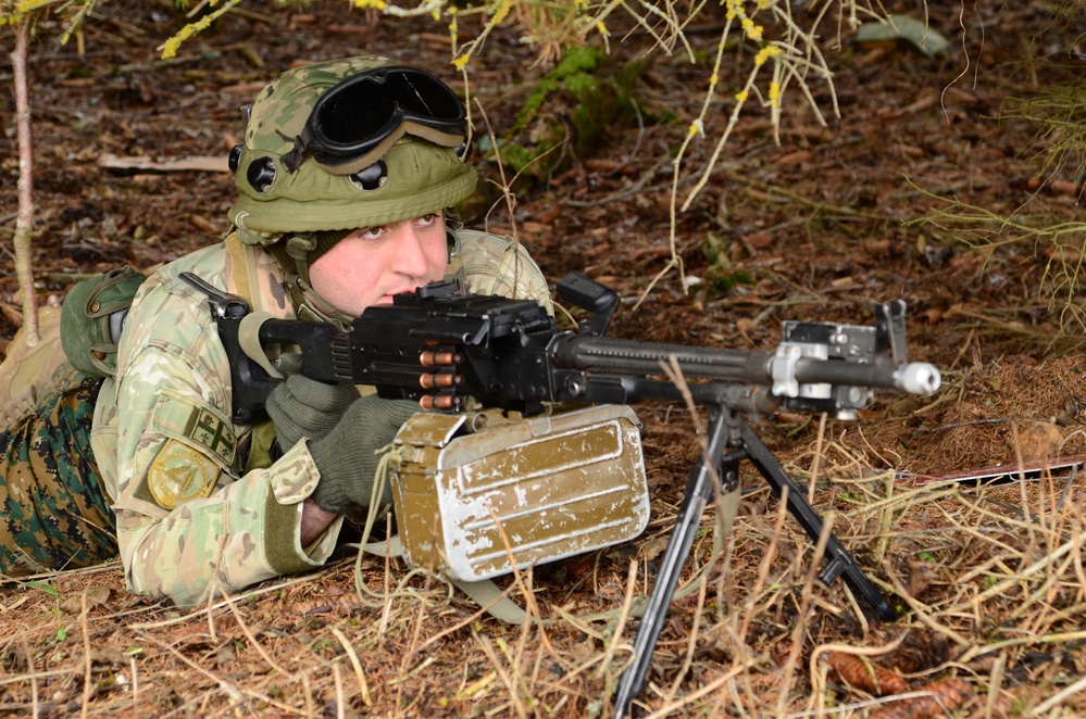 Georgian Regimental Combat Team mission rehearsal exercise