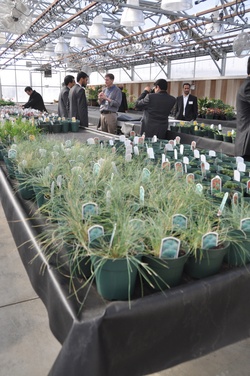 Afghan professors visit Hoosier state