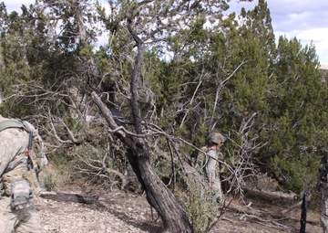 Network Integration Evaluation 13.1