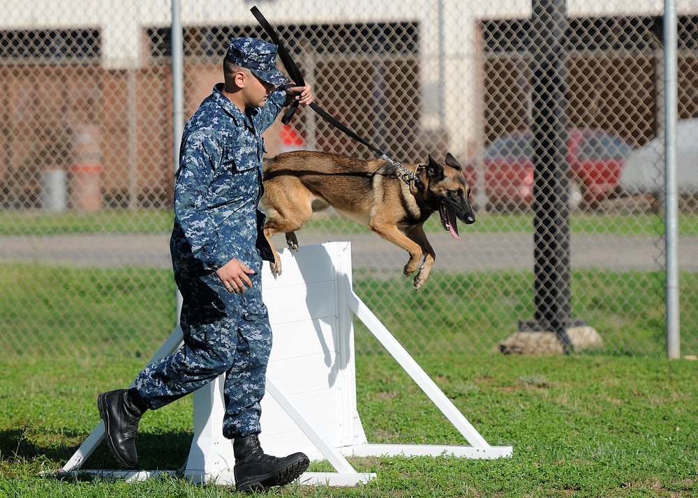 K-9 obstacle course