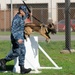 K-9 obstacle course