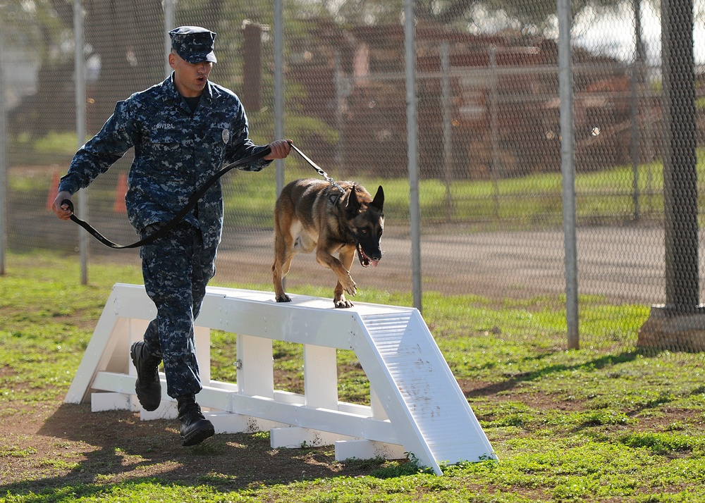 K-9 obstacle course