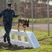 K-9 obstacle course