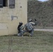 Three day Field Training Exercise, including MOUT site training, incorporating DISE