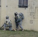 Three aay Field Training Exercise, including MOUT site training, incorporating DISE
