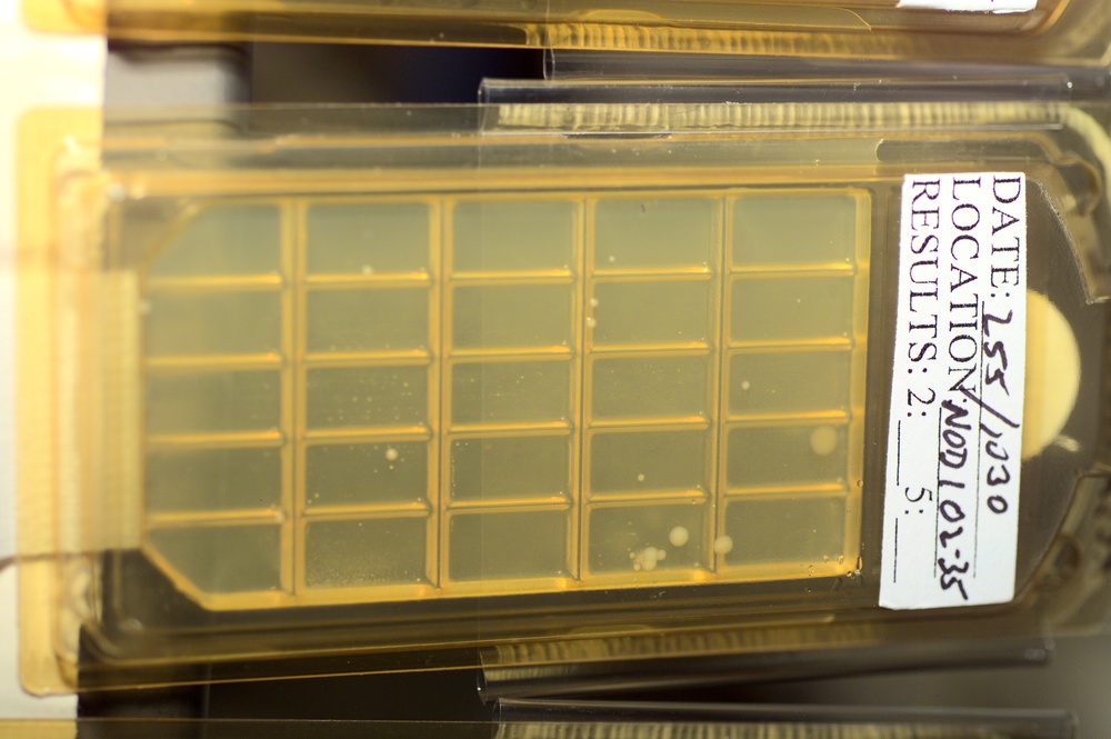 View of a growth sample taken during Expedition Three