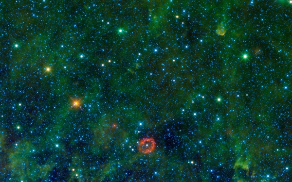 Jumbo Jellyfish or Massive Star?