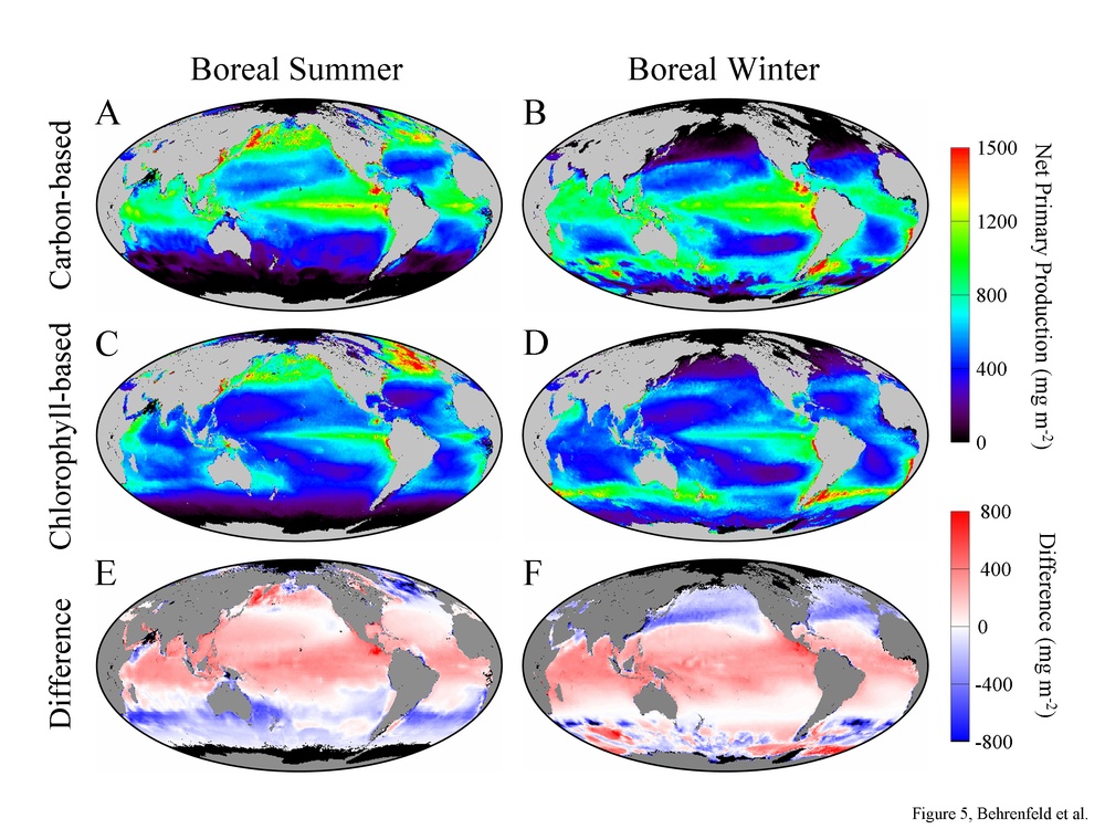 Growth Rates in Earth's Watery Garden: Image of the Day