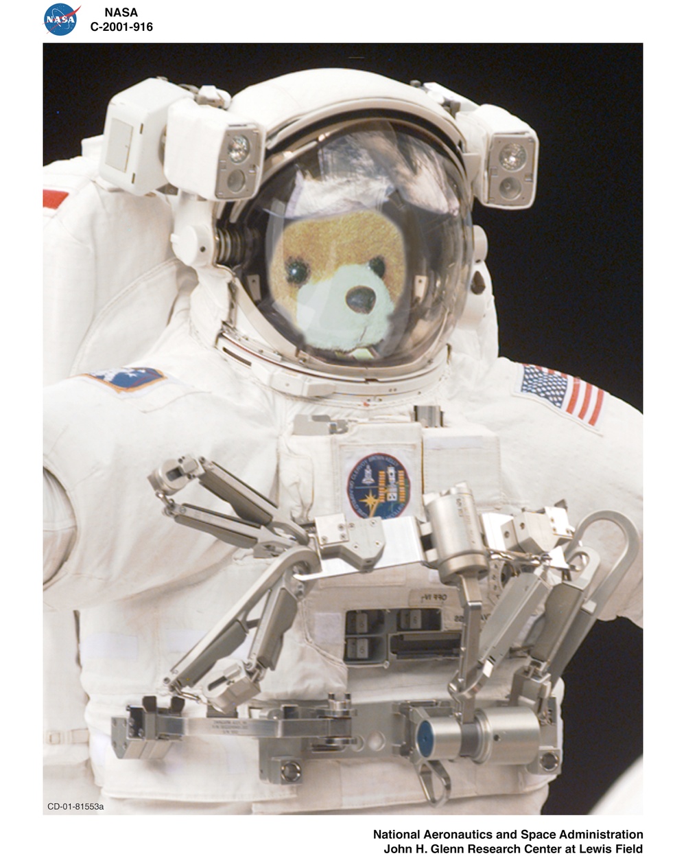IMAGE CREATIONS OF BUCKEYE BEAR THE AVON EAST ELEMENTARY SCHOOL MASCOT FOR THE STS104 SHUTTLE MISSION