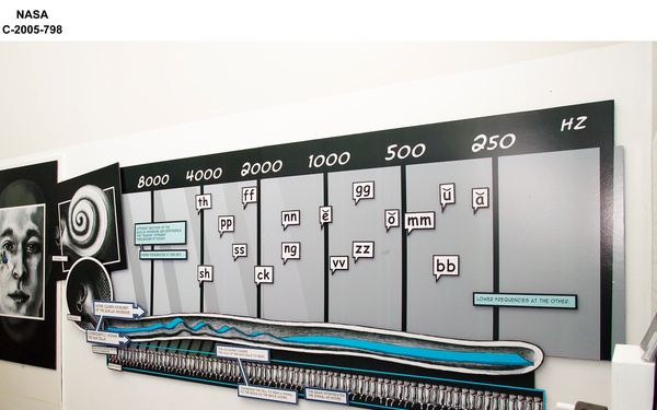 Display graphic depicting the effects of "Noise Induced Hearing Loss" (NIHL), created as part of a Cleveland Institute of Art, Bachelor of Fine Arts thesis project in cooperation with the NASA Glenn Research Center Acoustical Testing Laboratory