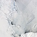 Terra Nova Bay Polynya, Antarctica : Image of the Day