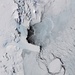 Terra Nova Bay Polynya, Antarctica : Image of the Day