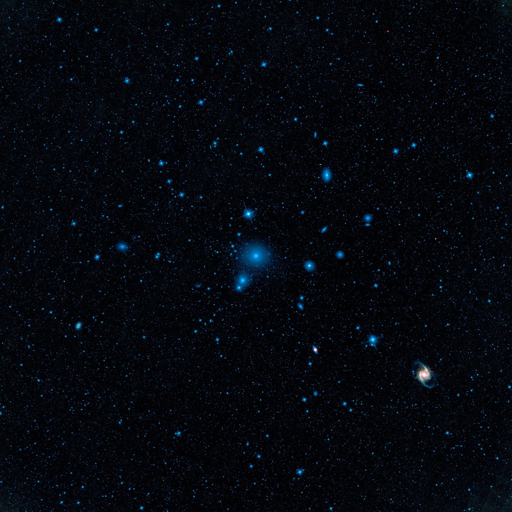 Fornax Galaxy Cluster