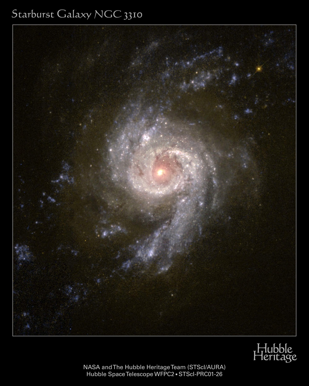 HST image of NGC 3310