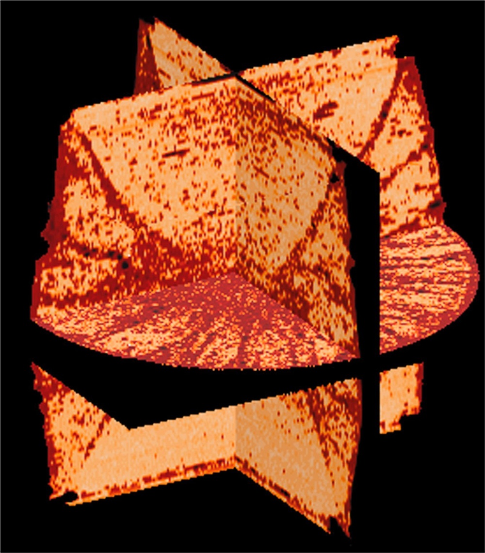 CT Scans of Soil Specimen Processed in Space