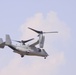 Ospreys arrive in Thailand