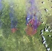 Rodeo-Chediski Fire: Image of the Day