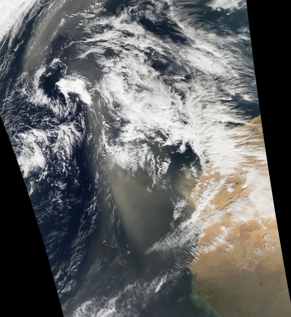 Dust Storm off Western Sahara: Image of the Day