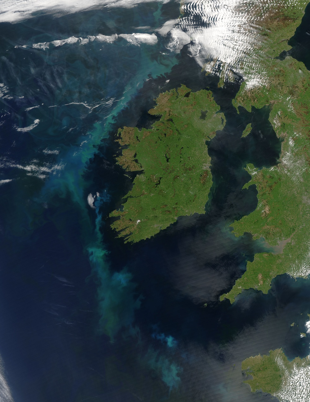 Phytoplankton Bloom off Ireland: Image of the Day