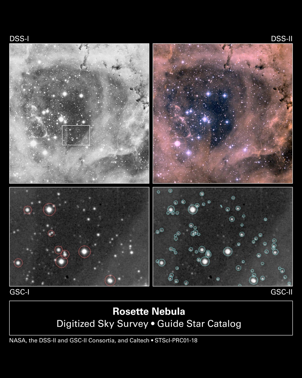 Rosette Nebula, Digitized Sky Survey
