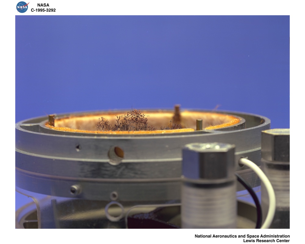 SMOLDERING COMUBSTION IN MICROGRAVITY BURNED FOAM SAMPLES